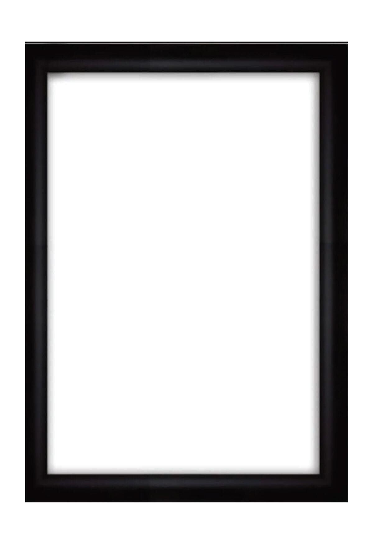 30x40 Photo Document Poster Picture Black Frame Mmrl2561 - Swordslife