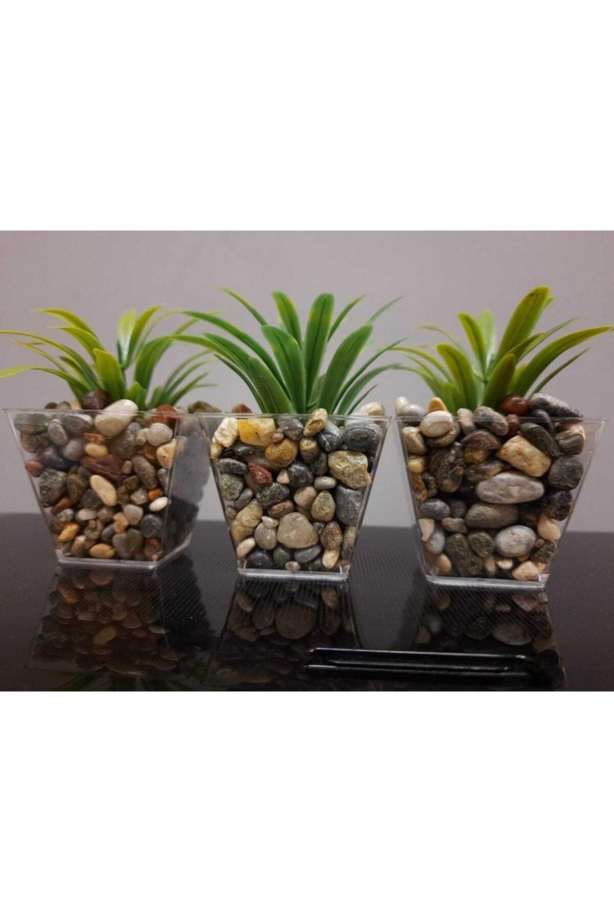 Artificial Greenery Artificial Flower in 3 Pebble Pot 6cmx10cm - Swordslife