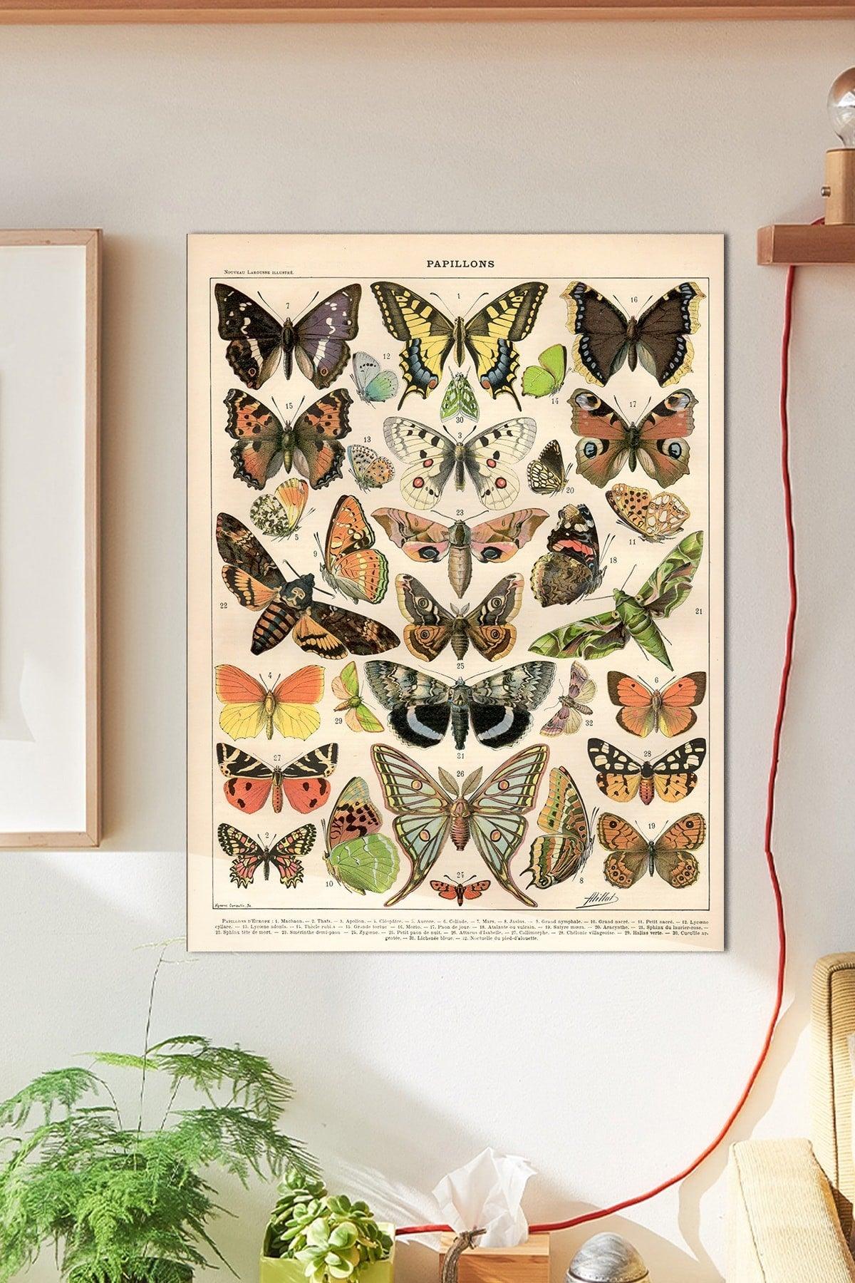 Big Papillons Wall Poster Large 45x30 Cm - Swordslife