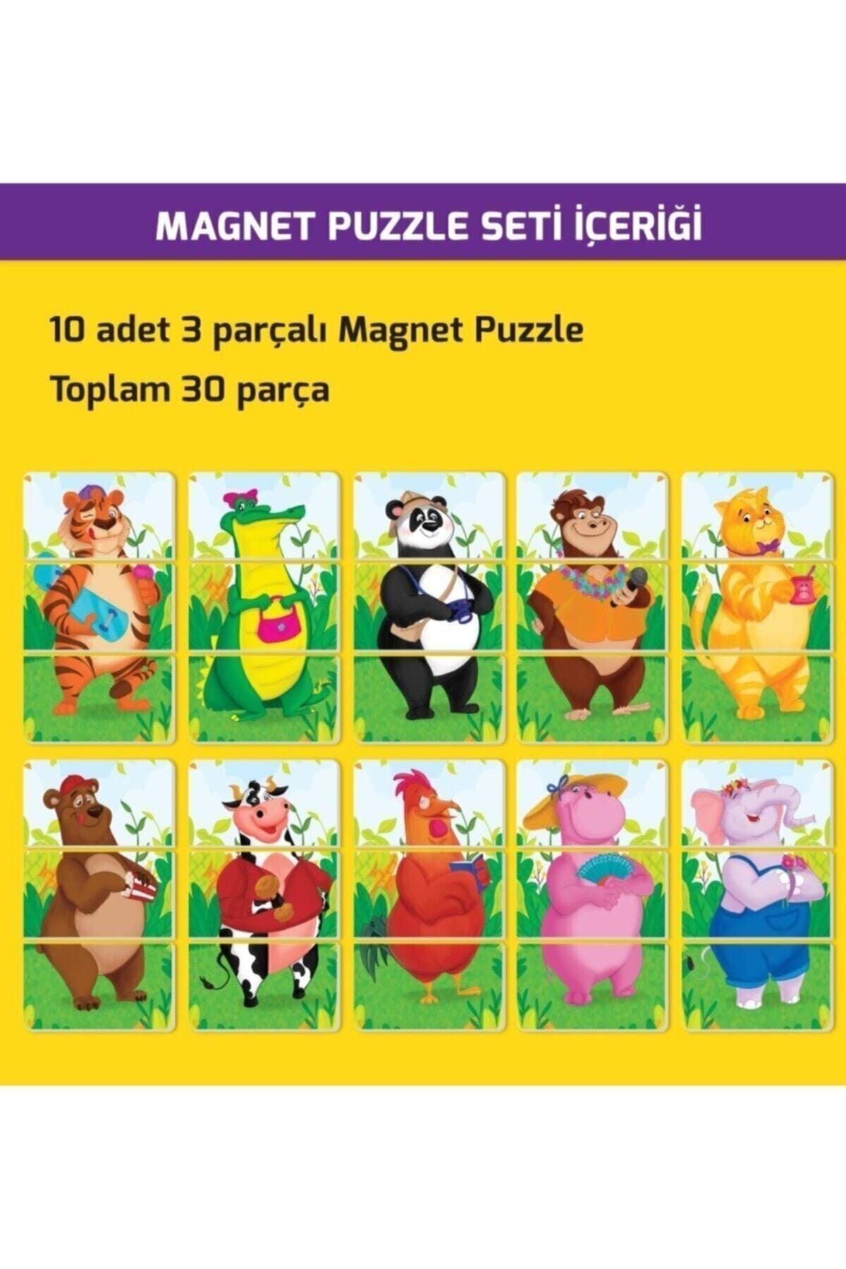 Rising Intelligence Age 2+ Magnet Puzzle Attention Developing Intelligence Game - Swordslife